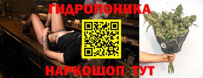 круглые Лесосибирск