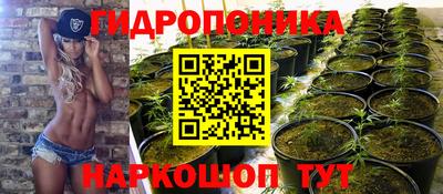 круглые Лесосибирск