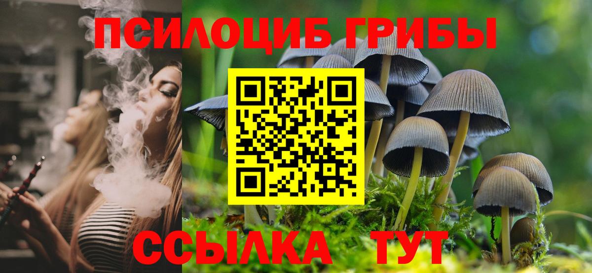 Псилоцибиновые грибы мухоморы Дивногорск